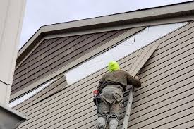 Best Vinyl Siding Installation  in North Las Vegas, NV